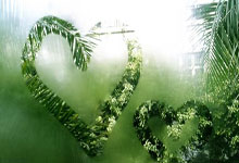 丹麦对阵瑞士的足球比赛有哪些精彩看点？